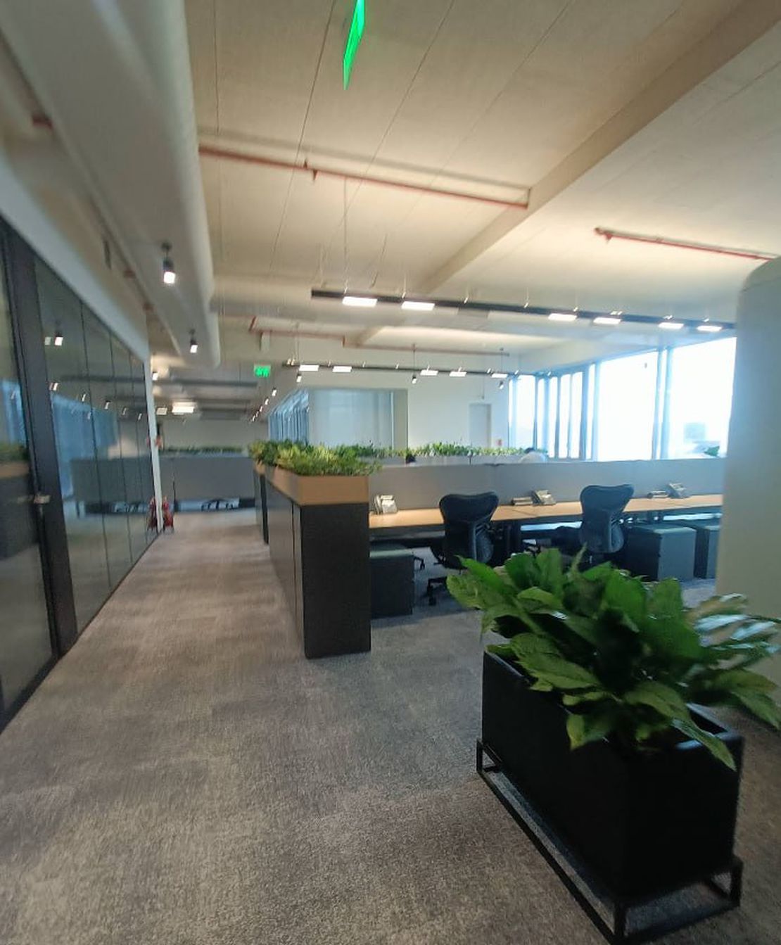 VELA Capital Fund Office